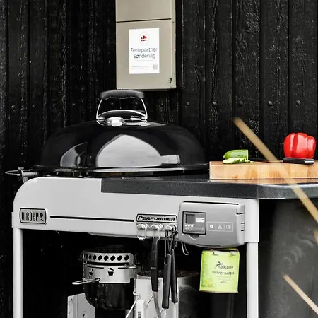 Prázdninový dům 2249-ringkobing-havklitvej-60